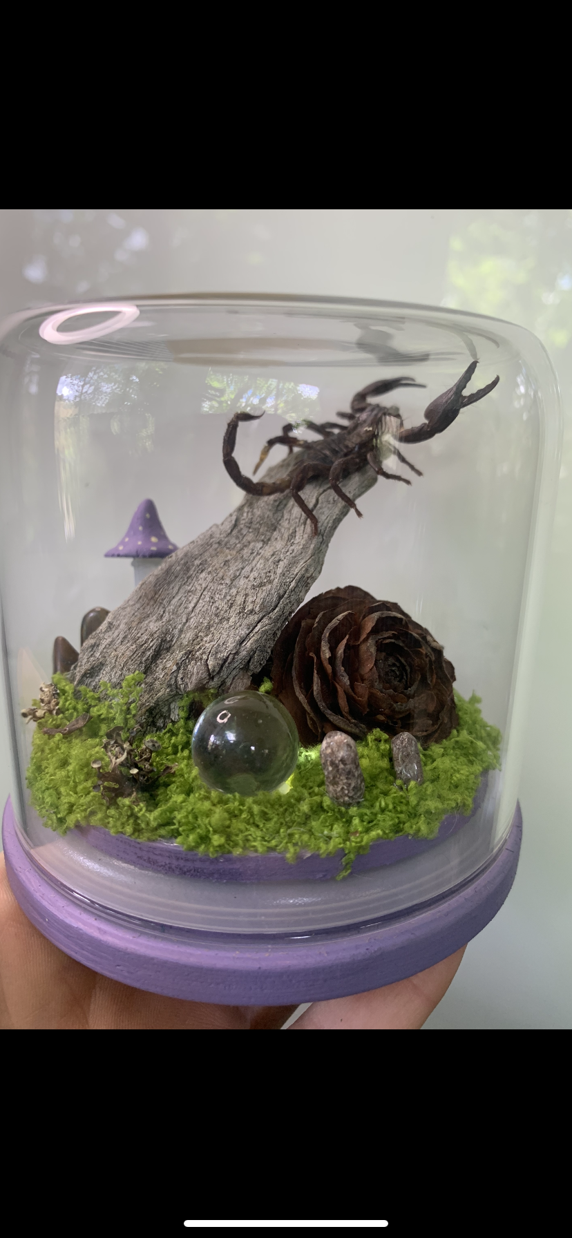 Small Scorpio Dome